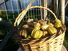 Grupo Cerro Místico