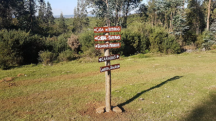 Grupo Cerro Místico