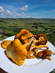 Grupo Cerro Místico