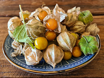 Grupo Cerro Místico