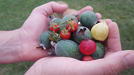 Grupo Cerro Místico