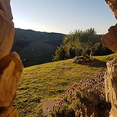 Grupo Cerro Místico