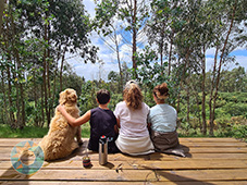 Grupo Cerro Místico