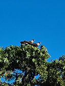 Grupo Cerro Místico