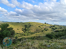 Grupo Cerro Místico