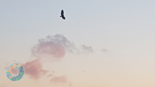 Grupo Cerro Místico