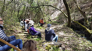 Grupo Cerro Místico