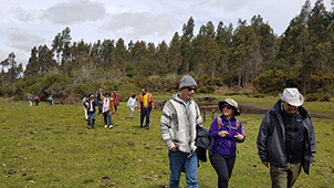 Grupo Cerro Místico