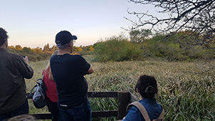 Grupo Cerro Místico