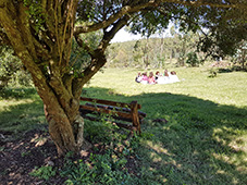 Grupo Cerro Místico